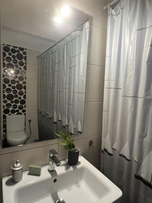 Aurora Studio Lagonissi Lagonisi Ngoại thất bức ảnh