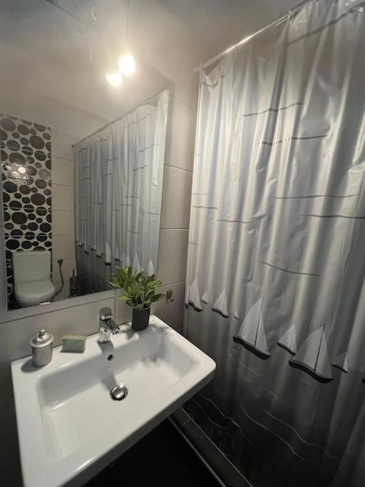 Aurora Studio Lagonissi Lagonisi Ngoại thất bức ảnh