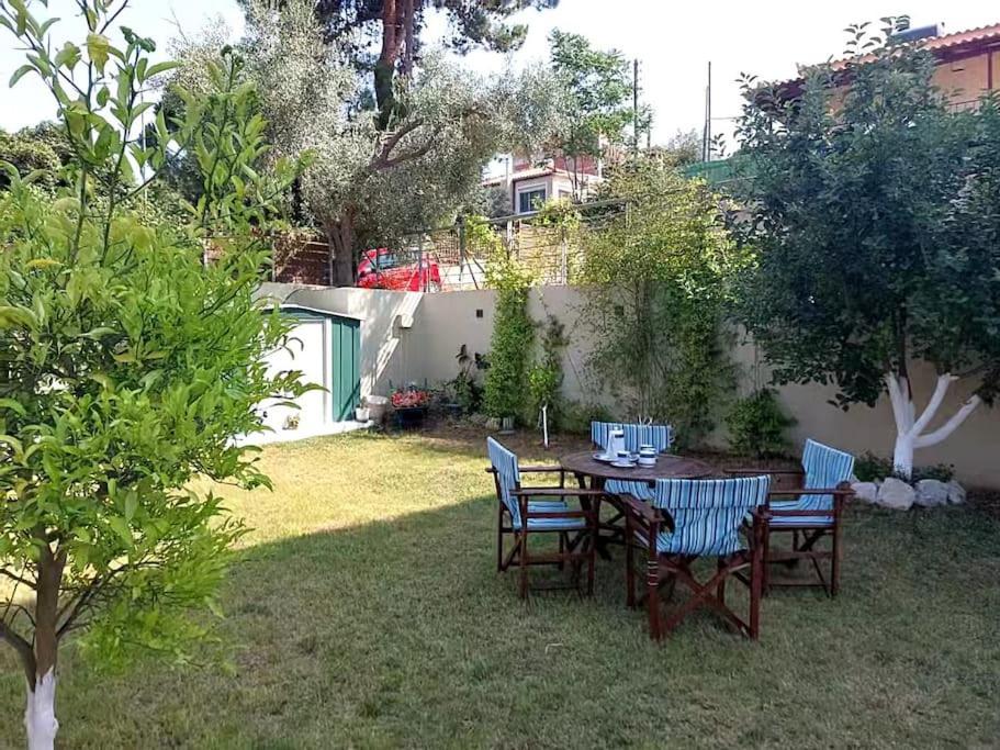 Aurora Studio Lagonissi Lagonisi Ngoại thất bức ảnh